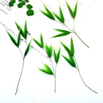 100vnt Presuotų Džiovintų Gėlių Bambuko Lapų Augalų Herbariumas Dėl Epoksidinės Dervos Papuošalai Priėmimo Rėmo Telefono dėklas Amatų 