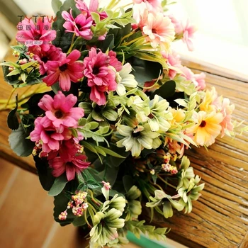 M. NAUJOS pluoštas 6 modeliavimas rudenį chrizantemų,naujų savybių gėlių, įvairių spalvų laukinių chrysanthemum