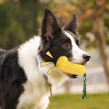 Šunų Kramtyti Žaislus Bite-Atsparus dantų šepetėlį Kukurūzų Molinis Klijuoti su Virve Mažylis Dantų Priežiūra Valymas Stick Smulkaus ir Vidutinio HYD